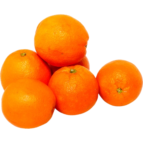 SM Bonus U Navel Orange #88 | 6pcs