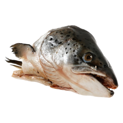 MF Salmon Head Split | 3kg