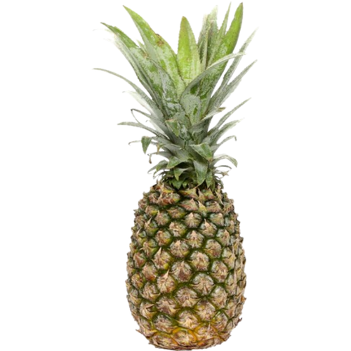 Dizon Pineapple Small | PC